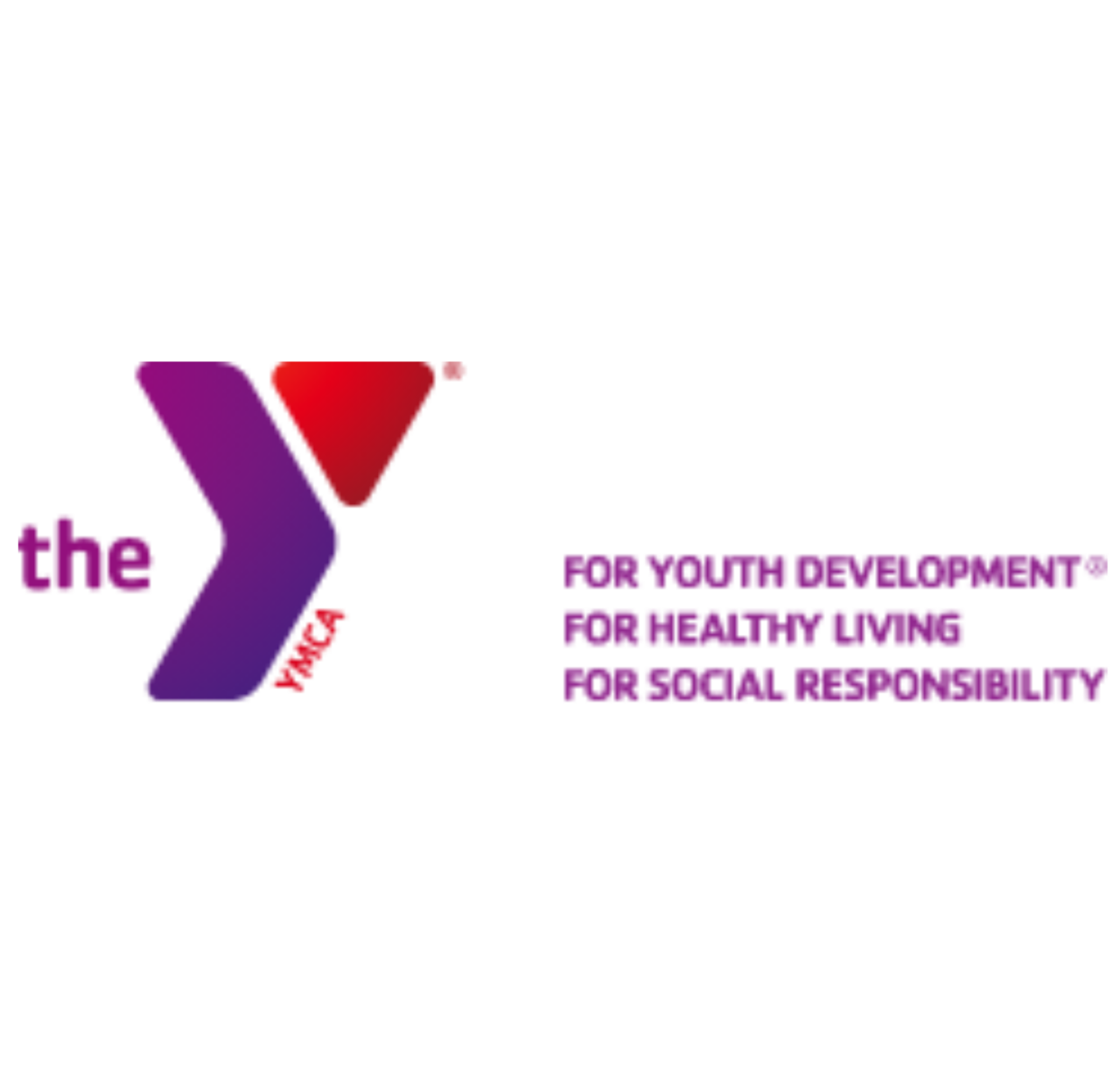 ymca logo